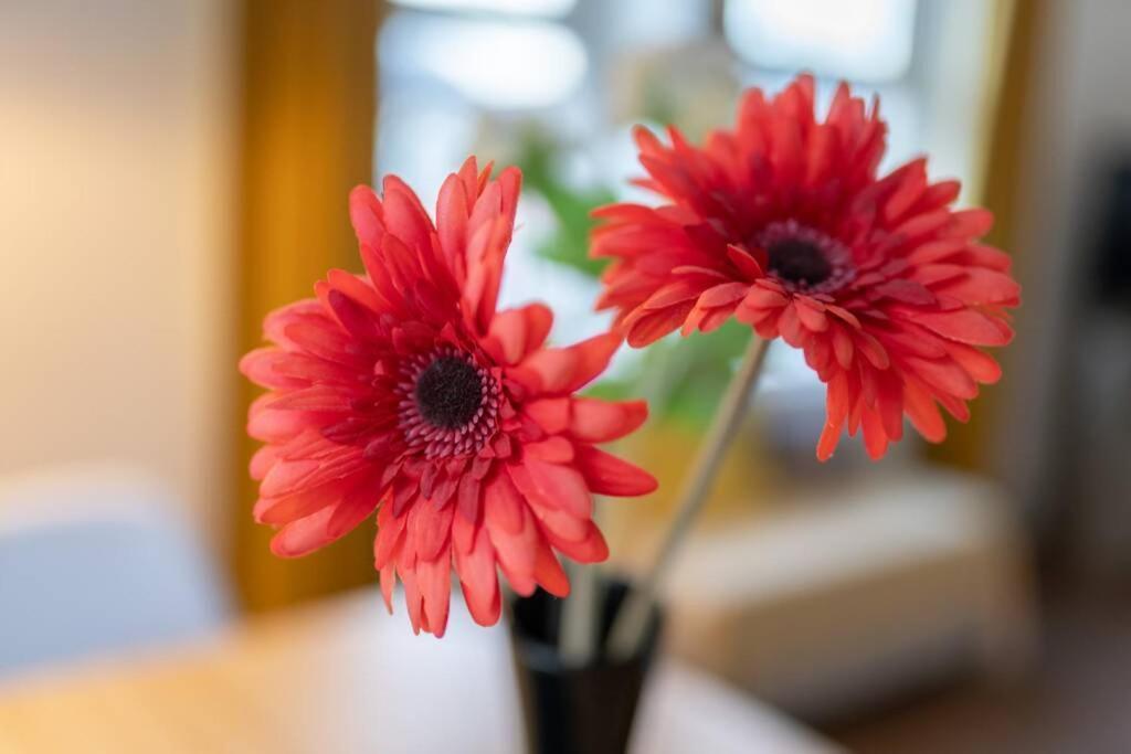 Phenix Central - Huge 3 Bed, Super Equipped Apartment. 카디프 외부 사진